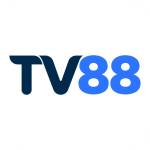 tv88 limited Profile Picture