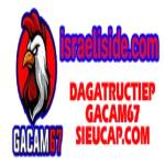 gacam67 promax Profile Picture