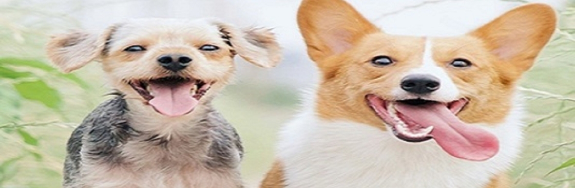 Star Scooping LLC Cover Image