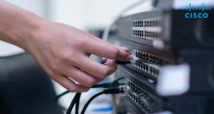 Cisco Unmanaged Switches – 16-Port, 24-Port, 48-Port | Radiant Info Solutions