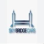 Skybridge Cars Profile Picture
