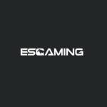 esgamingpc Profile Picture