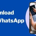 YANG mila Profile Picture