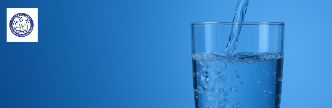 Water Cypress Cover Image