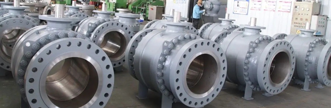 China Ball Valves Manufacturer Cover Image