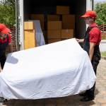 Femo Movers Abu Dhabi Profile Picture