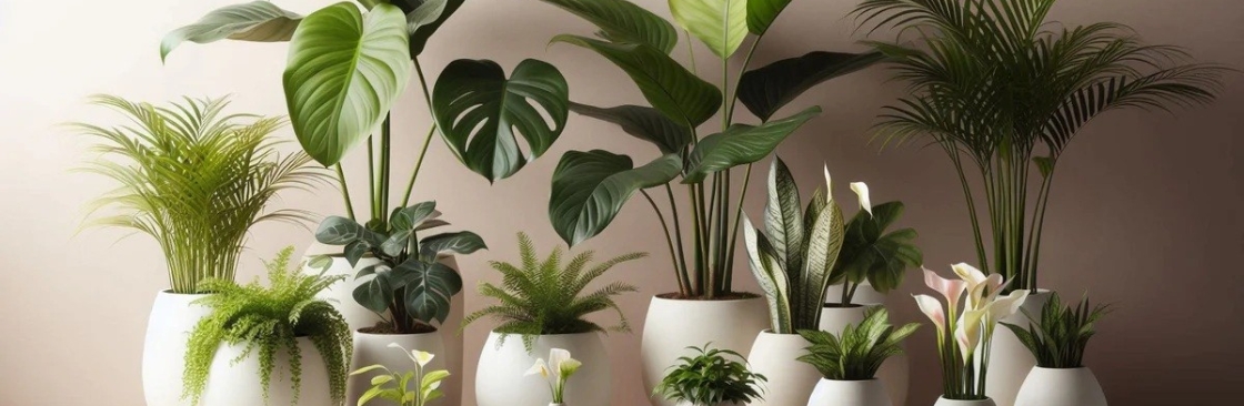 Natasha Smith Cover Image