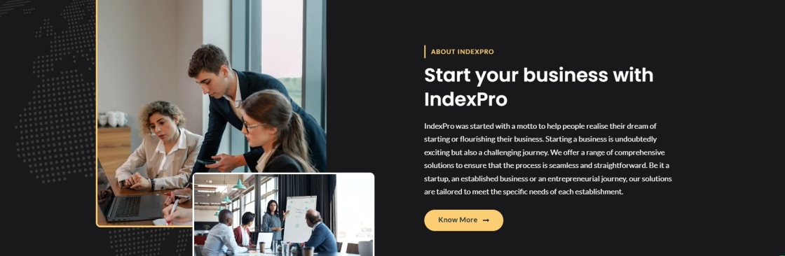 Index Pro Cover Image