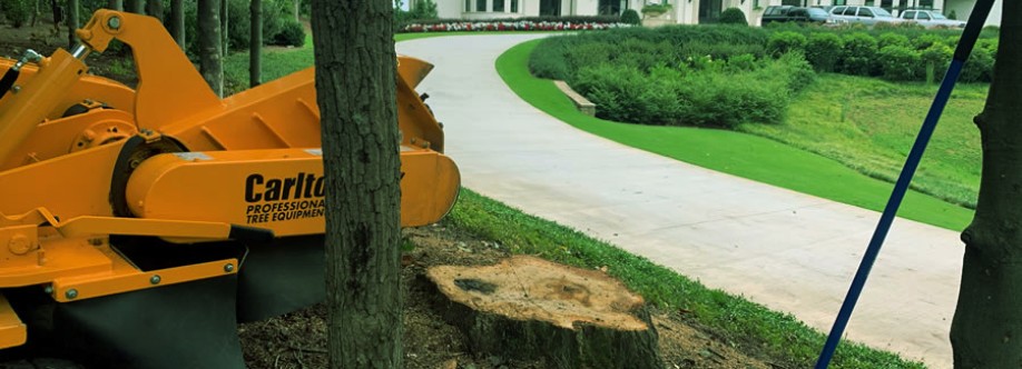 Southern Star Stump Cover Image