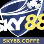 SKY88 Profile Picture