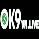 Ok9vn live Profile Picture