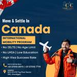 Smart Choice Profile Picture