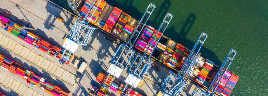 Lobina Transport Services Ltd Cover Image