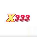 X 333 profile picture