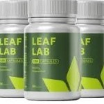 Leaf Lab Profile Picture