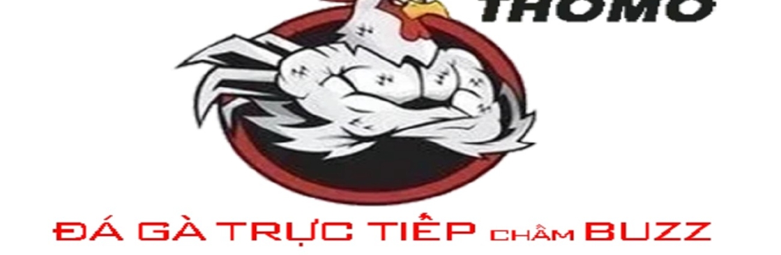 Đá gà trực tiếp Cover Image
