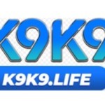 K9 K9 Profile Picture