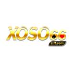 xoso66sitcom Profile Picture