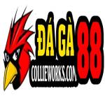 DAGA88 ĐÁ GÀ 88 profile picture