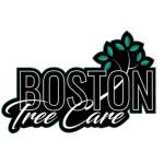 bostontreecare Profile Picture