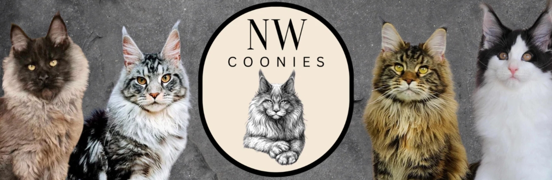 NW Coonies Cover Image