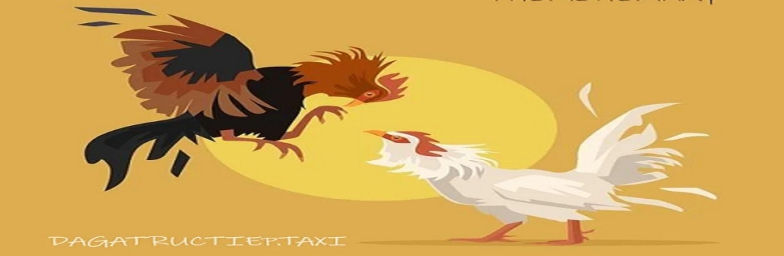 Thomohomnay TRỰC TIẾP ĐÁ GÀ Cover Image