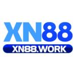 xn88work Profile Picture