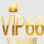 Vip66 name profile picture