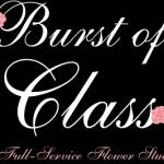 burstofclass Profile Picture