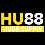HU88 Profile Picture